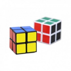 2x2 master cube