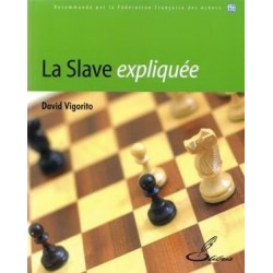 La slave expliquée - Vigorito