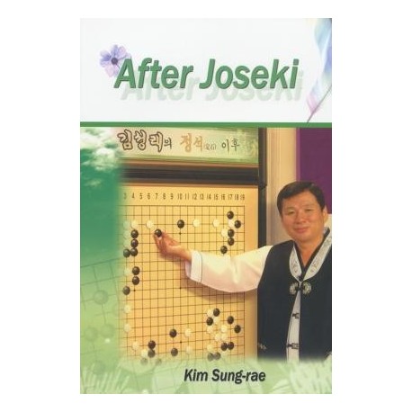 After joseki - Kim Sung-Rae