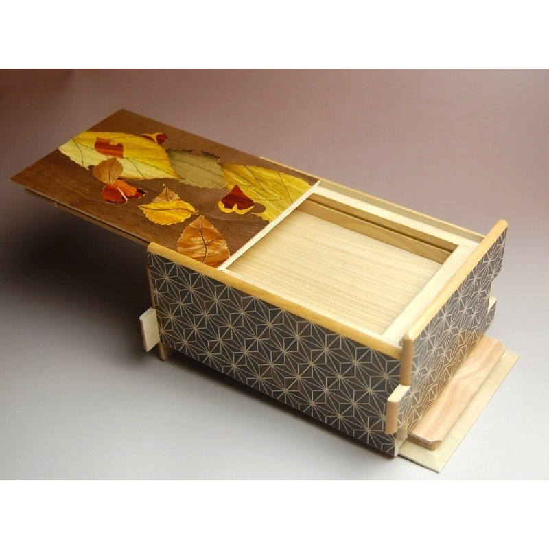 Caja Secreta Japonesa 21 Etapas - Cajas Secretas 